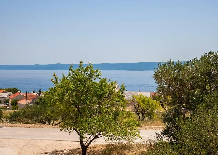 Sarbunal Daire